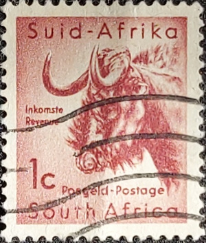 inkomste revenue South Africa