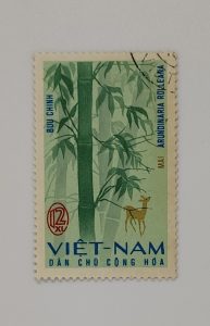 STAMP: ARUNDINARIA ROLLEANA