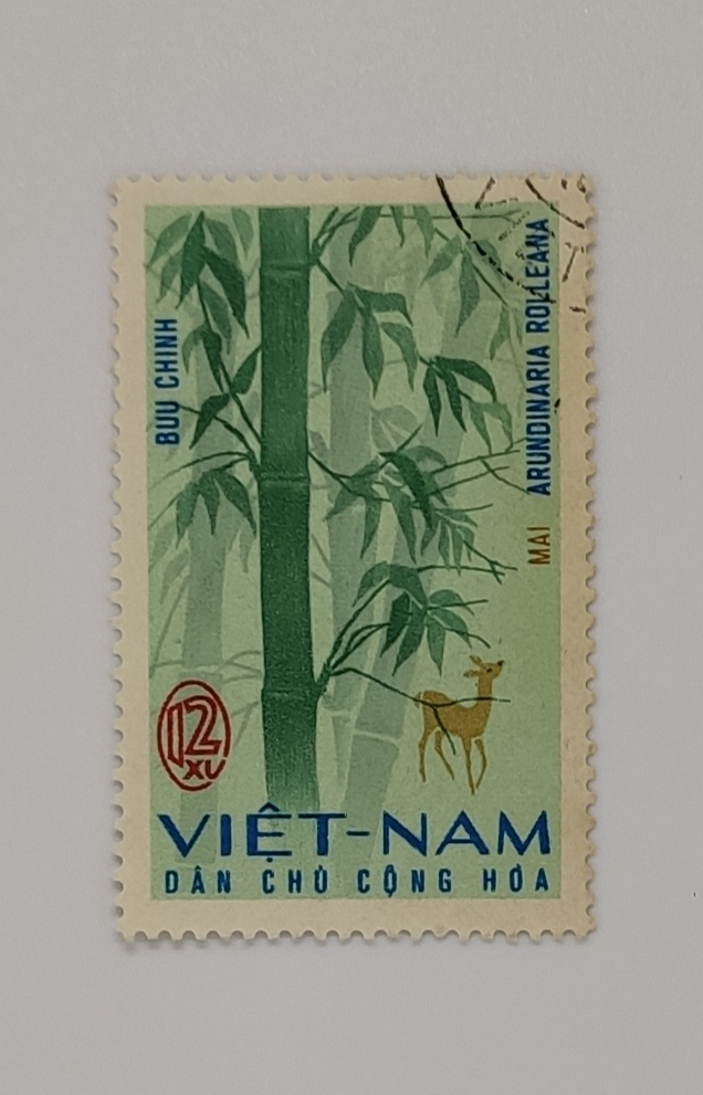 STAMP: ARUNDINARIA ROLLEANA