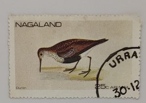 NAGALAND STAMP