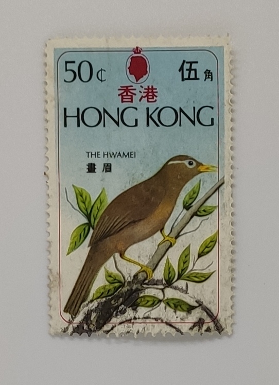 畫眉