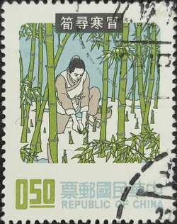 冒寒尋筍