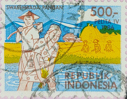 RICE PLANTING