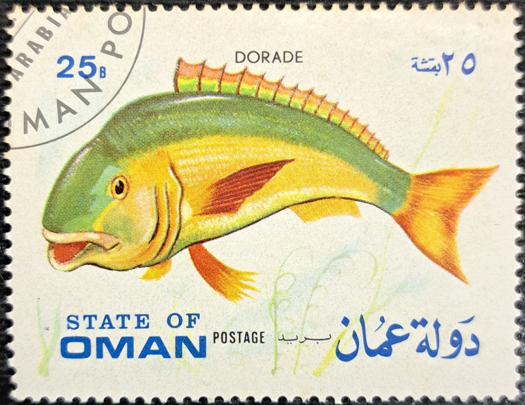 DORADE