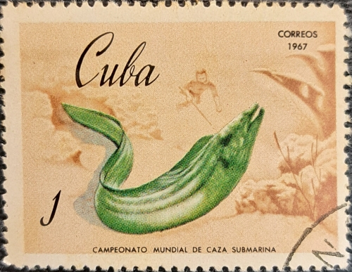 Stamps