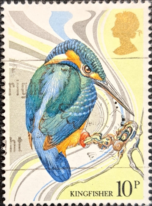 KINGFISHER 10P