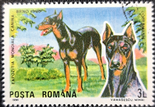 EXPOZITIA MONDIALA CANINA BRNO 1990