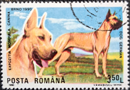 EXPOZITIA MONDIALA CANINA DOG GERMAN DOG EXHIBITION