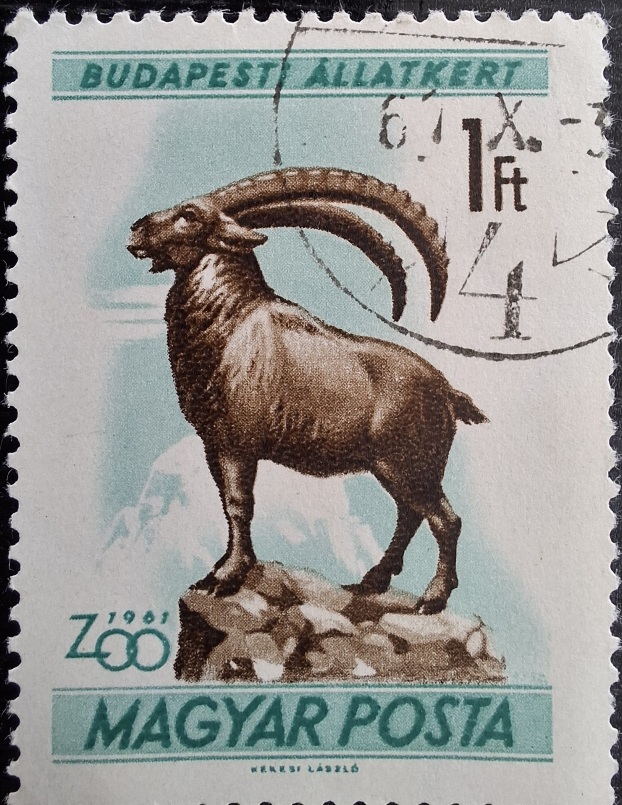 BUDAPESTI ALLATKERT 1961 ZOO